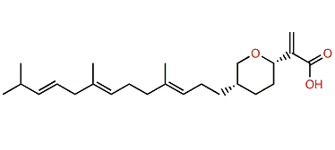 Rhopaloic acid B